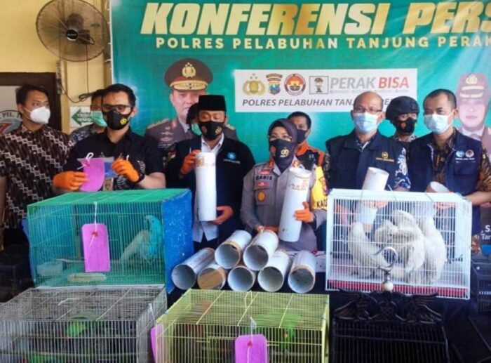 Sejumlah satwa langka dan dilindungi UU saat diamankan di Mapolres Pelabuhan Tanjung Perak /Ist