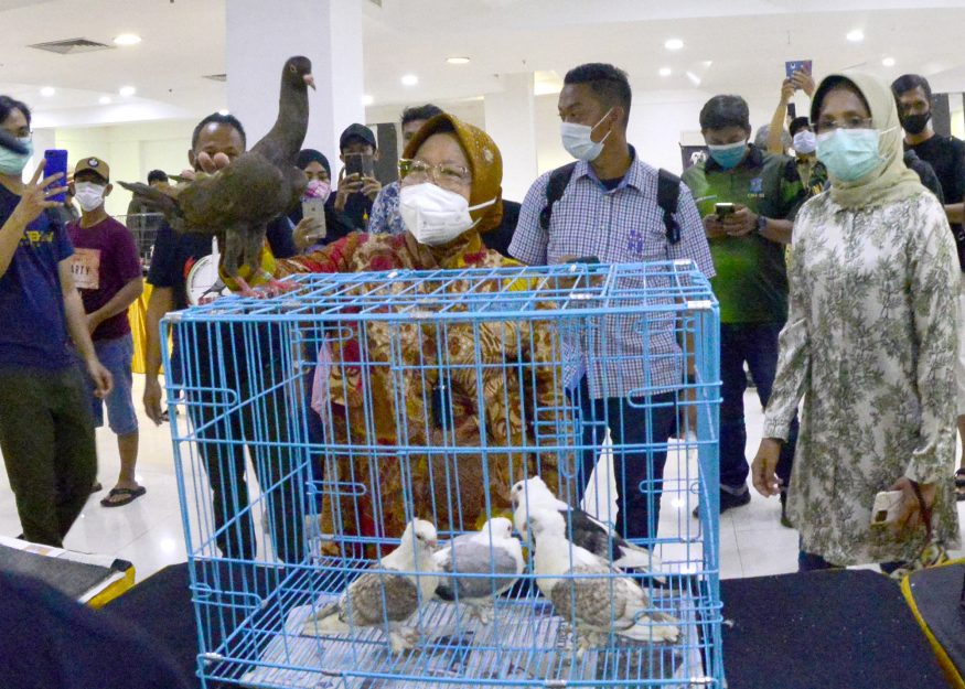 Wali Kota Risma saat melihat merpati di bazar/ist