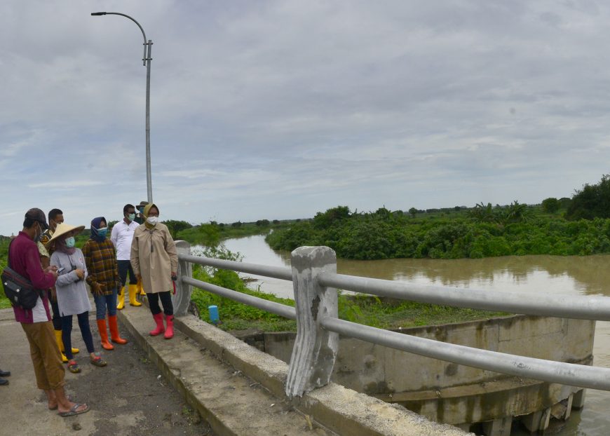 Wali Kota Risma saat meninjau Kali Lamong/ist
