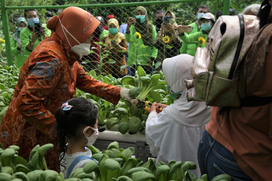 Wali Kota Risma saat di Mini Agrowisata/ist