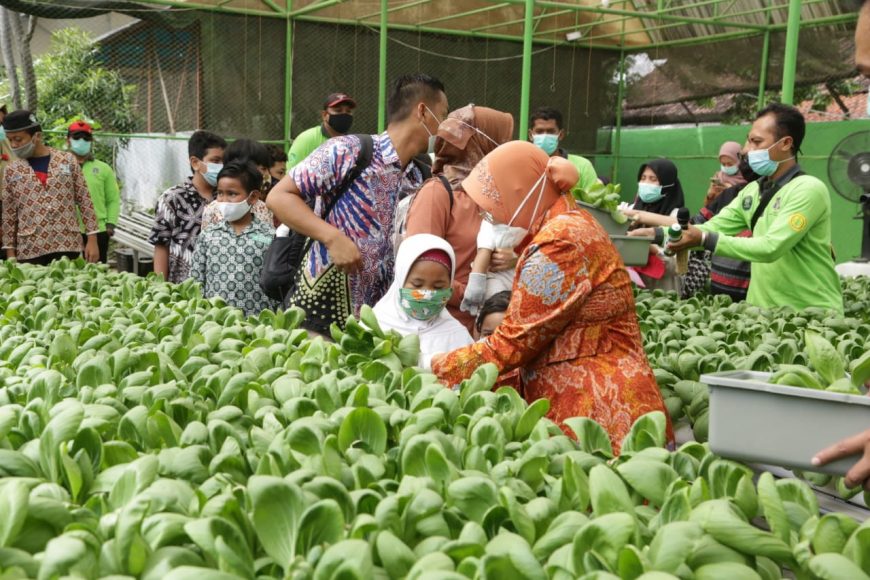 Wali Kota Risma saat panen raya hidroponik dengan anak-anak Surabaya/ist