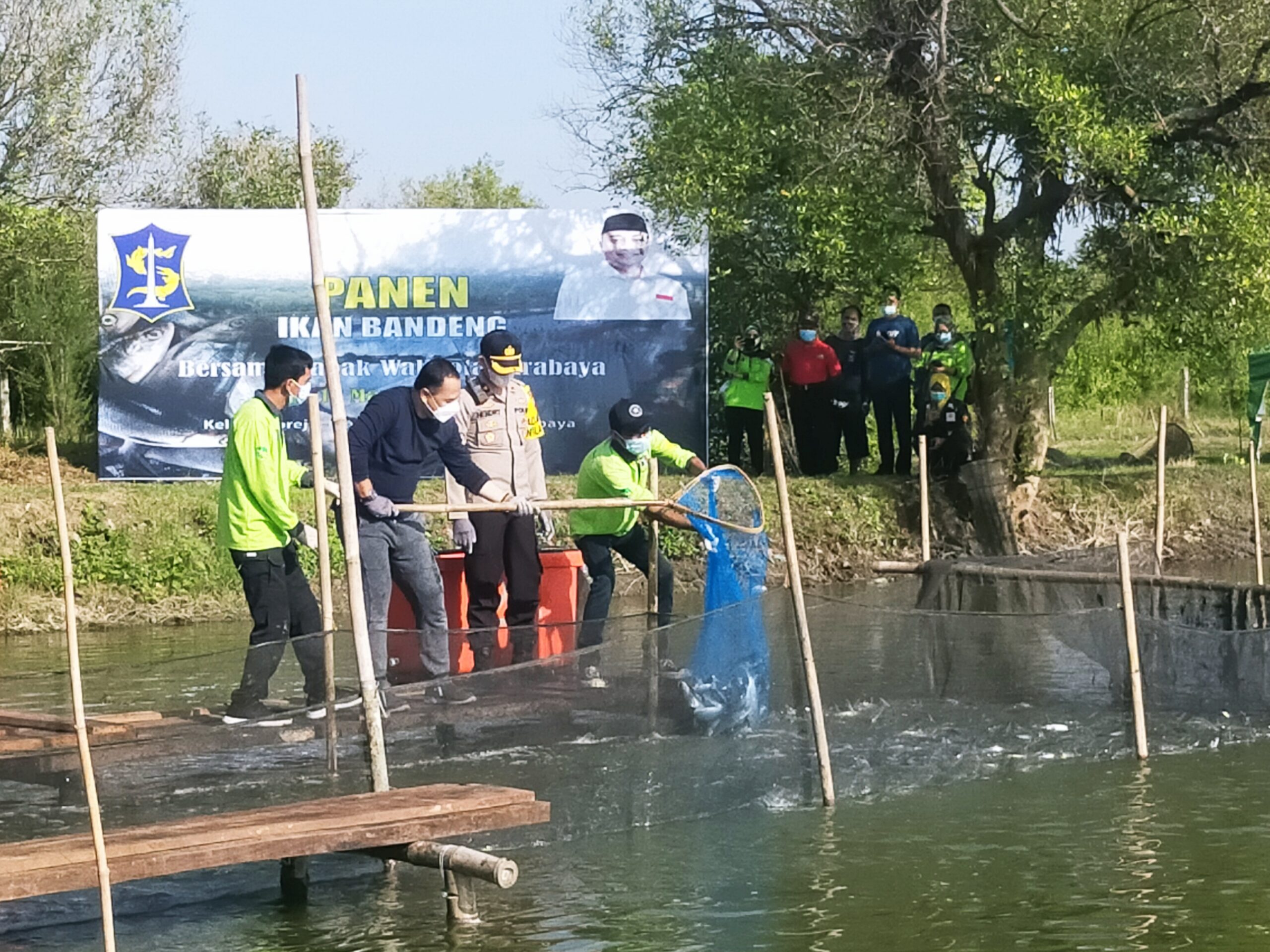 Secara simbolis, Wali Kota Surabaya Eri Cahyadi memanen ikan bandeng /Foto: Bicara Surabaya