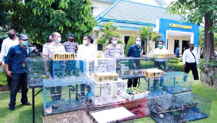 Konferensi pers ungkap kasus terkait penyelundupan satwa di Mapolda Jatim /dok. Tribata | Bicara Surabaya