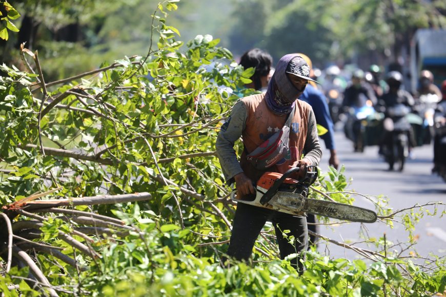 Perantingan pohon di kawasan Jalan Nginden Surabaya /dok. Humas Pemkot Surabaya