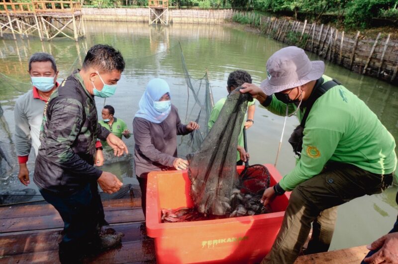 Ketahanan pangan di Surabaya/Dok. Diskominfo