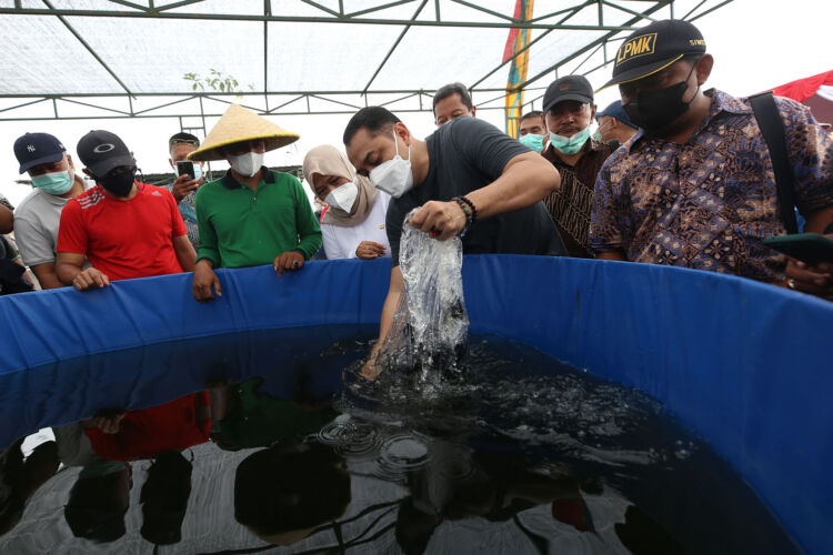 Wali Kota Surabaya Eri Cahyadi menuang benih di salah satu padat karya dalam bidang pertanian dan peternakan/Dok. Diskominfo Surabaya