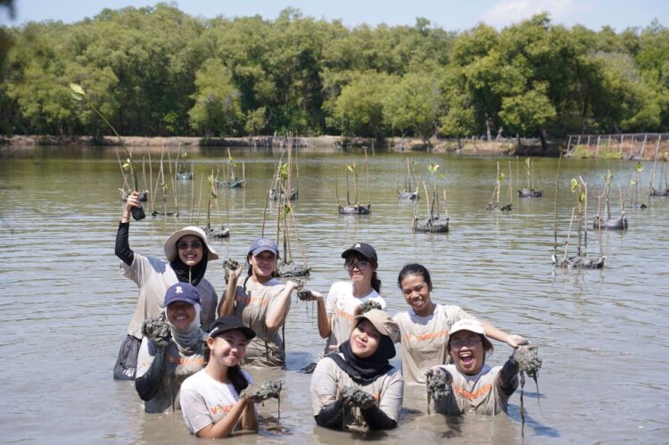 Sejumlah peserta saat menanam mangrove/dok.bicarasurabaya.com