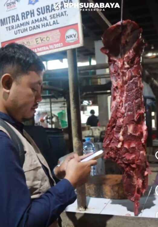 Petugas monitoring RPH Surabaya melakukan pendataan kualitas daging (Foto; Istimewa/BS)