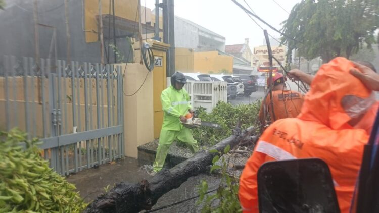 Ilustrasi (Foto: dok CC112-Ist/BS)