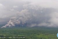 Terjangan awan panas Gunung Semeru saat meletus pada Rabu (19/11) sore. (Foto: Tangkapan Layar PVMBG/BS)