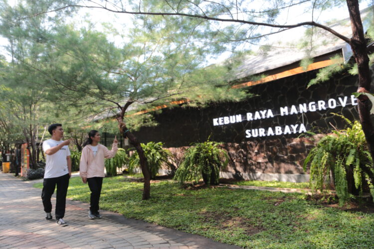 Kebun Raya Mangrove yang ada di Surabaya/dok.Diskominfo Surabaya