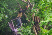 Foto: Humas Pemkot/BS