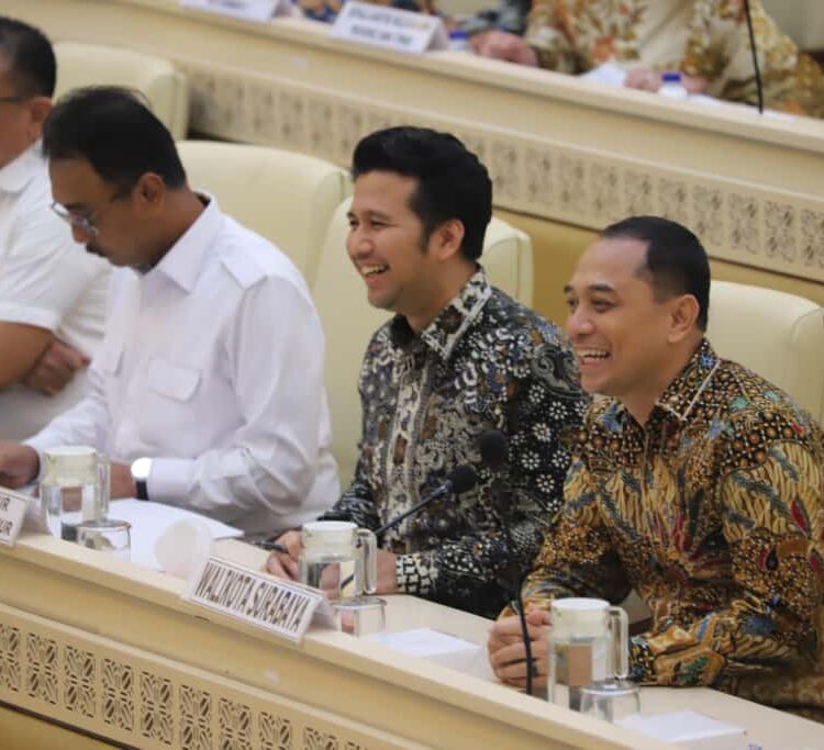 Wali Kota Surabaya Eri Cahyadi saat rapat bersama DPR RI/dok.Diskominfo Surabaya