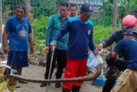 Petugas DPKP mengevakuasi keluarga piton di SMPN 60. (foto: Ist-CC112/BS)