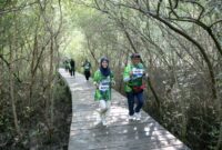 Foto: Kebun Raya Mangrove Surabaya / dok Humas Surabaya