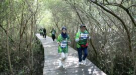 Foto: Kebun Raya Mangrove Surabaya / dok Humas Surabaya