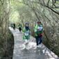 Foto: Kebun Raya Mangrove Surabaya / dok Humas Surabaya