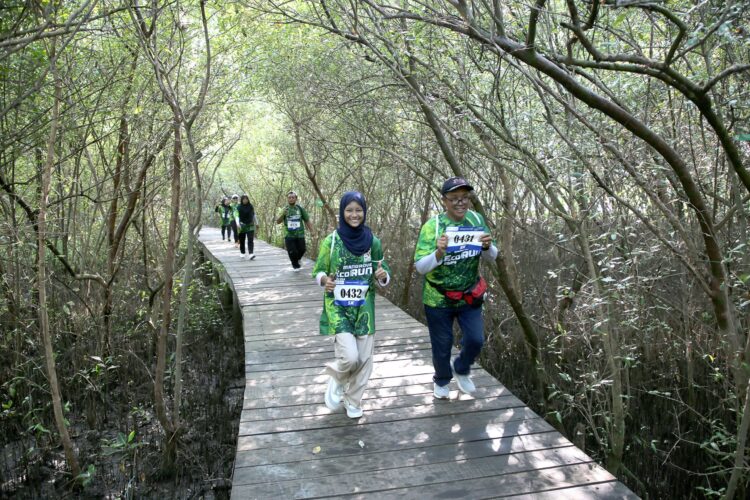 Foto: Kebun Raya Mangrove Surabaya / dok Humas Surabaya