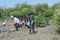 Pelajar Surabaya saat menanam mangrove/dok.bicarasurabaya.com