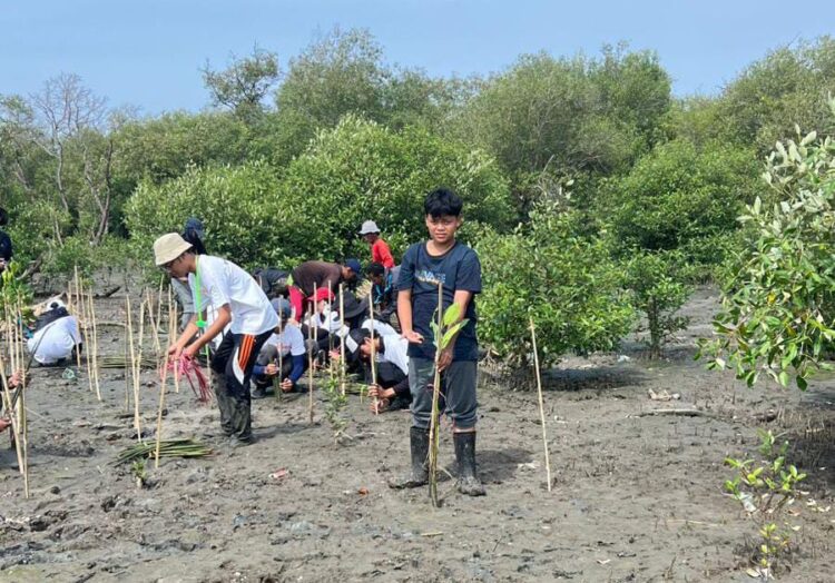 Pelajar Surabaya saat menanam mangrove/dok.bicarasurabaya.com