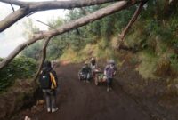 Jalur pendakian Wisata Kawah Ijen (Foto: dok @yopiefranz/ist)