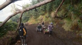 Jalur pendakian Wisata Kawah Ijen (Foto: dok @yopiefranz/ist)