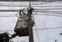 Satpol PP tertibkan kabel utilitas yang langgar Perda/dok.bicarasurabaya.com