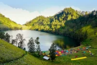 Ilustrasi (Foto: dok/Istimewa)