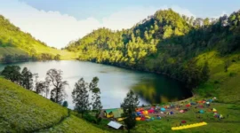 Ilustrasi (Foto: dok/Istimewa)