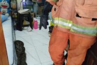 Foto: dok Command Center 112