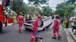 Ilustrasi (Foto: dok DPKP Surabaya)