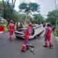 Ilustrasi (Foto: dok DPKP Surabaya)
