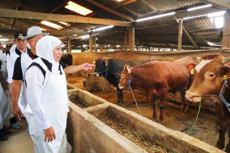 Foto: dok Humas Pemprov Jatim