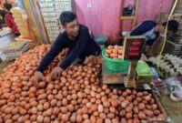 Ilustrasi (Foto: dok/Istimewa)