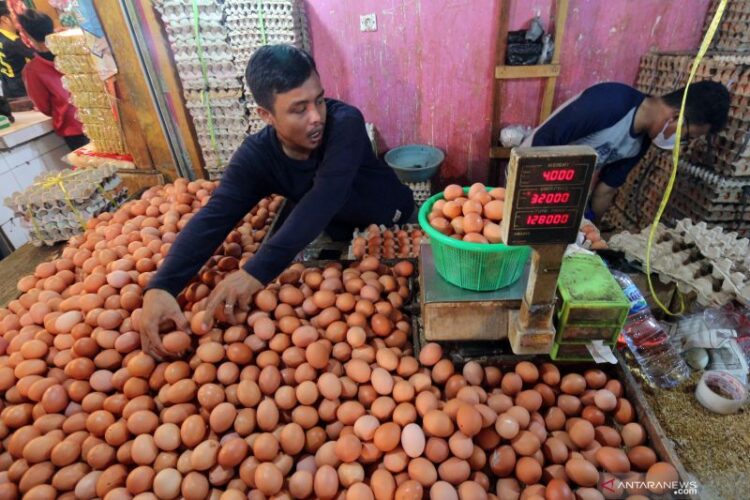 Ilustrasi (Foto: dok/Istimewa)