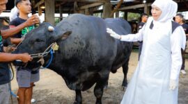 Foto: dok Humas Pemprov Jatim