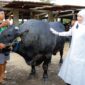 Foto: dok Humas Pemprov Jatim