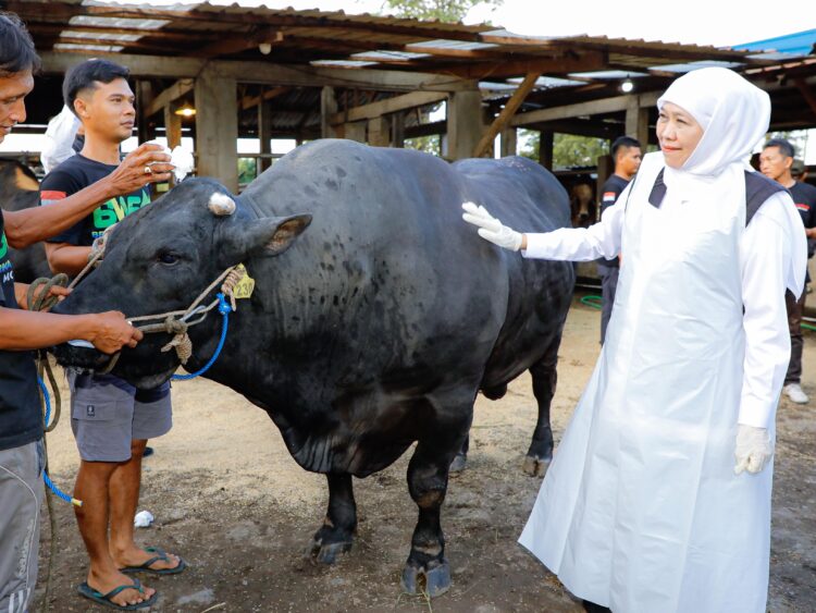 Foto: dok Humas Pemprov Jatim