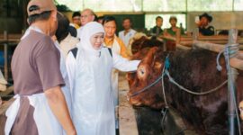 Foto: dok Humas Pemprov Jatim