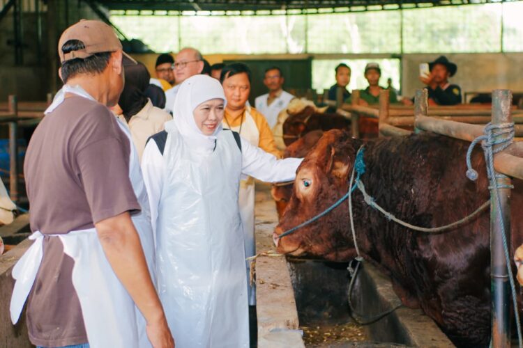 Foto: dok Humas Pemprov Jatim