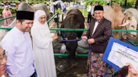 Gubernur Khofifah dan Wagub Emil Dardak menyerahkan sapi kurban Gubernur Jatim/dok.bicarasurabaya.com