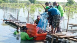 Foto: dok Diskominfo Surabaya