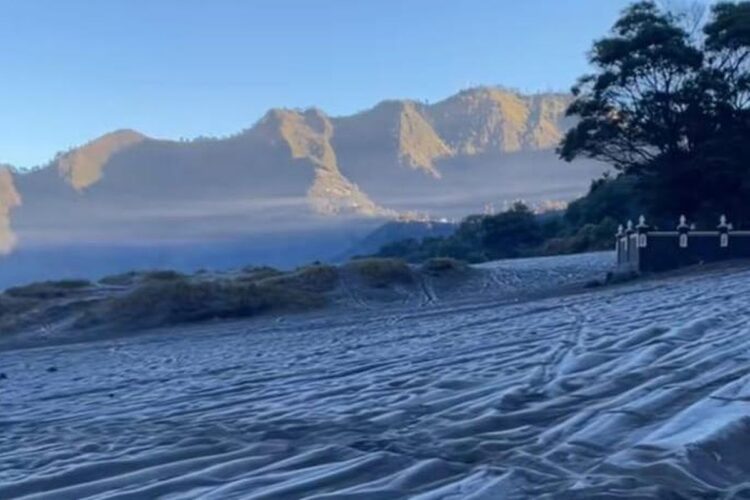 Hamparan pasir di Bromo tertutup upas atau embun es . (Foto: dok Camat Tosari, Kab Pasuruan)