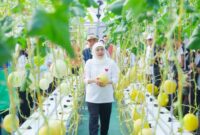 Masjid Al Akbar Kembangkan FishTech Berbasis IoT untuk Ketahanan Pangan. (Foto: dok Humas Pemprov Jatim)