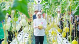 Masjid Al Akbar Kembangkan FishTech Berbasis IoT untuk Ketahanan Pangan. (Foto: dok Humas Pemprov Jatim)