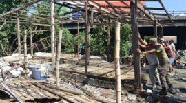 Petugas gabungan melakukan penertiban bangunan liar di bawah jembatan tol Tambak Mayor yang akan segera dibangun rumah pompa. (Foto: dok Diskominfo)