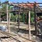 Petugas gabungan melakukan penertiban bangunan liar di bawah jembatan tol Tambak Mayor yang akan segera dibangun rumah pompa. (Foto: dok Diskominfo)