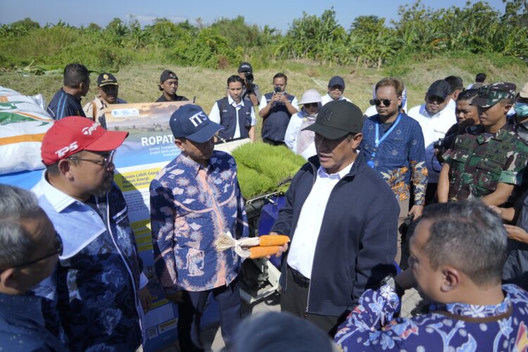 (dari kiri) Peneliti benih jagung ITS Mukhammad Muryono SSi MSi PhD dan Rektor ITS Prof Dr (HC) Ir Bambang Pramujati ST MScEng PhD, dan Mentan RI Andi Amran Sulaiman. (Foto: dok Humas ITS)