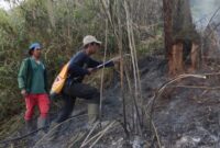 Kebakaran Ranu Kembang, BB TNBTS Tutup Total Jalur Pendakian Semeru. (Foto: TNBTS)