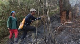 Kebakaran Ranu Kembang, BB TNBTS Tutup Total Jalur Pendakian Semeru. (Foto: TNBTS)